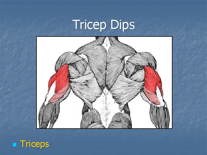 Tricep Dips n Triceps 