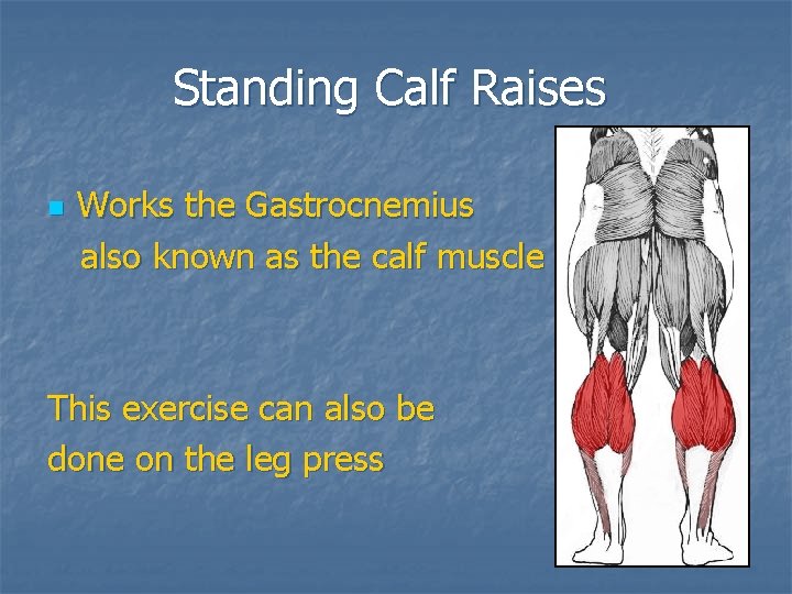 Standing Calf Raises n Works the Gastrocnemius also known as the calf muscle This