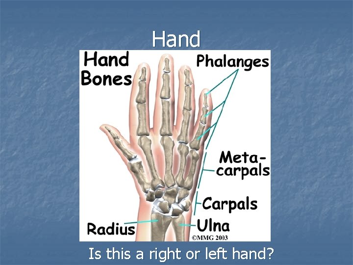 Hand Is this a right or left hand? 