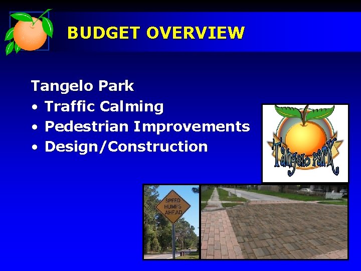 BUDGET OVERVIEW Tangelo Park • Traffic Calming • Pedestrian Improvements • Design/Construction 