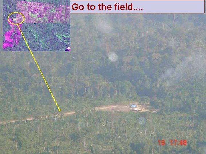 Go to the field. . 