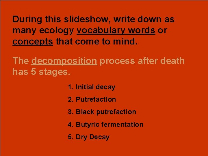 During this slideshow, write down as many ecology vocabulary words or concepts that come