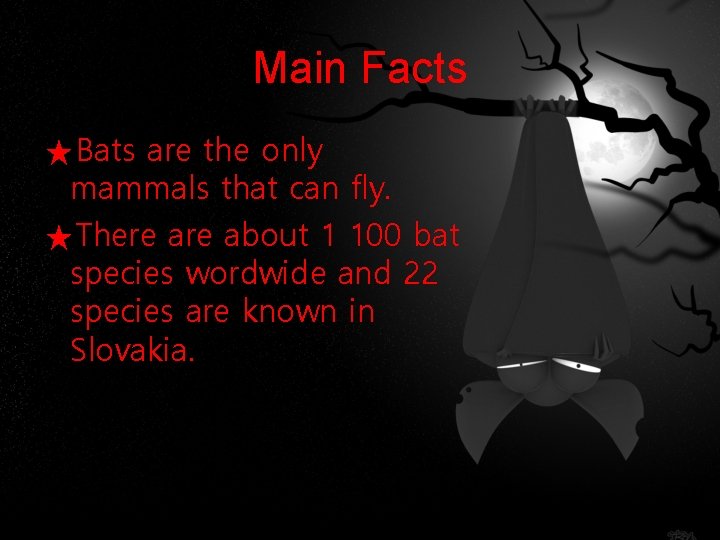 Main Facts ★Bats are the only mammals that can fly. ★There about 1 100