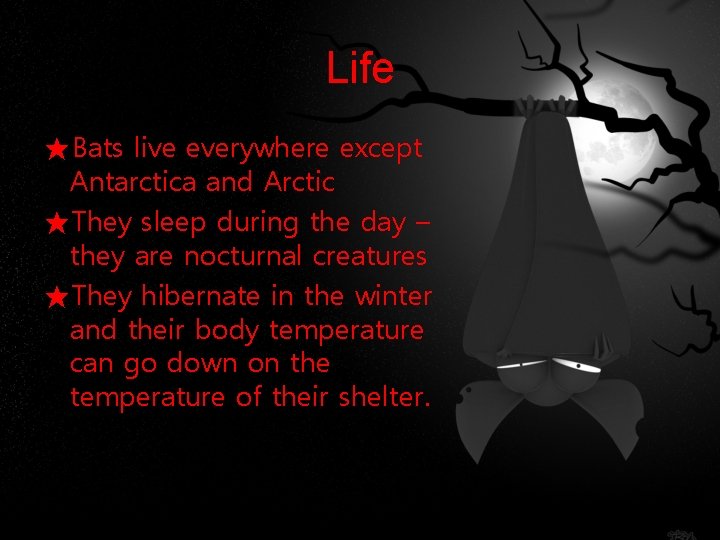 Life ★Bats live everywhere except Antarctica and Arctic ★They sleep during the day –