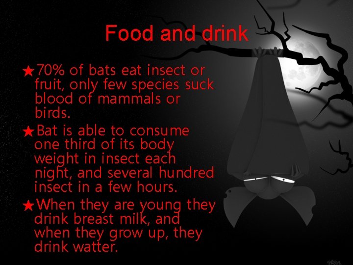 Food and drink ★70% of bats eat insect or fruit, only few species suck