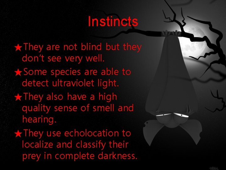 Instincts ★They are not blind but they don’t see very well. ★Some species are