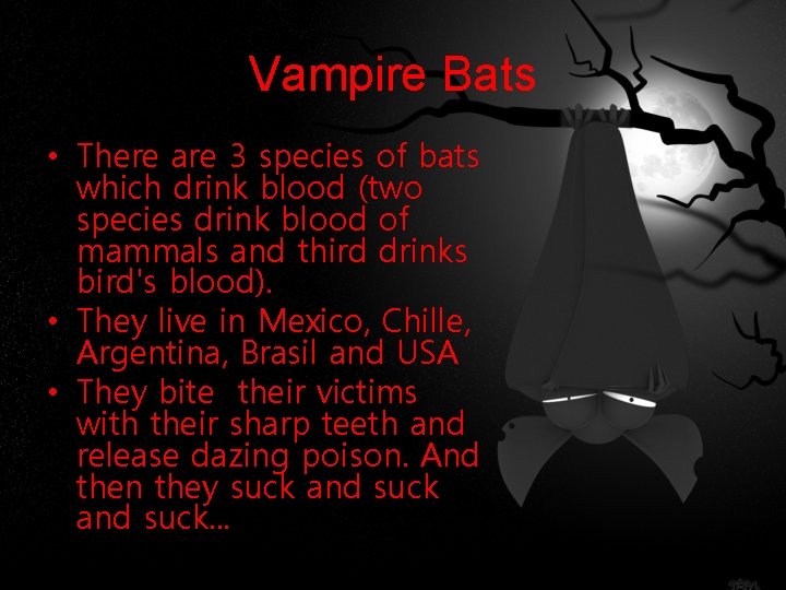 Vampire Bats • There are 3 species of bats which drink blood (two species