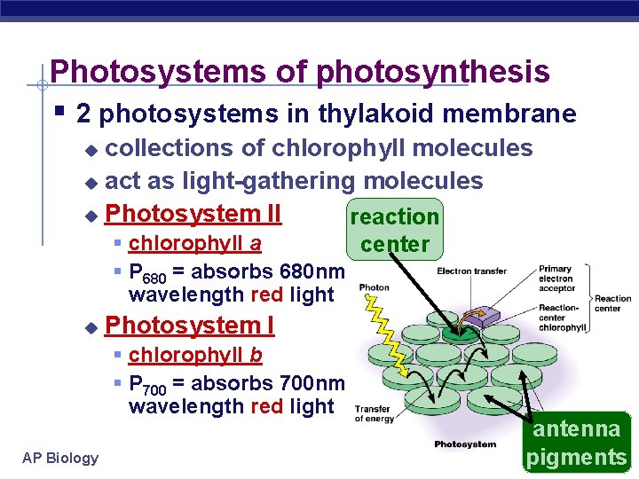 Photosystems of photosynthesis § 2 photosystems in thylakoid membrane collections of chlorophyll molecules u