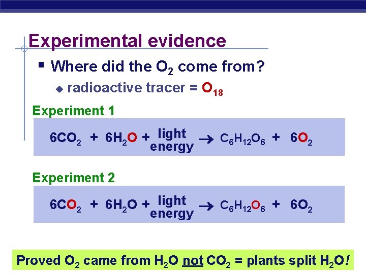 Experimental evidence § Where did the O 2 come from? u radioactive tracer =