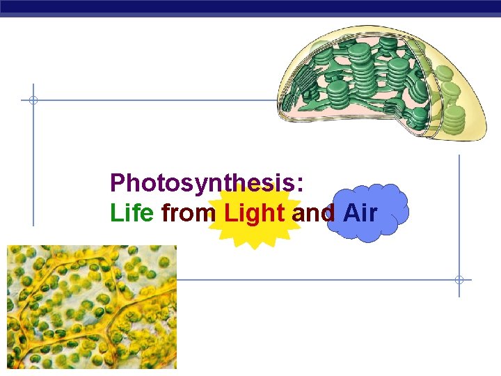 Photosynthesis: Life from Light and Air AP Biology 