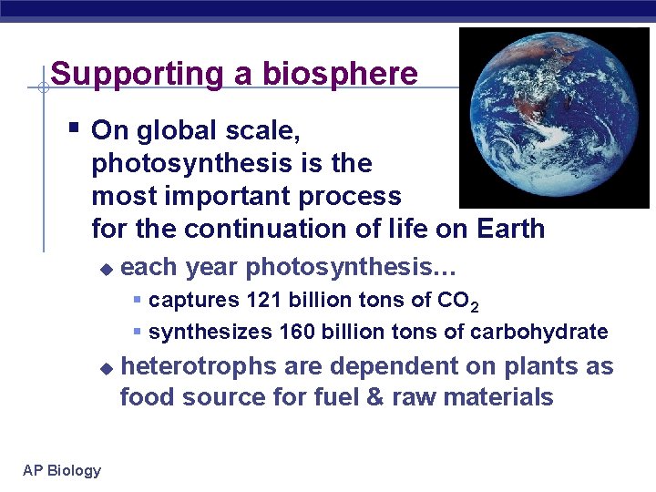 Supporting a biosphere § On global scale, photosynthesis is the most important process for