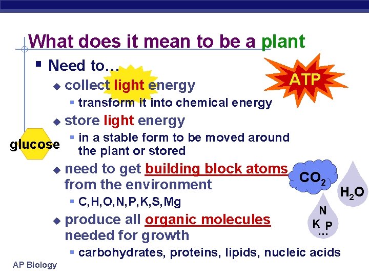 What does it mean to be a plant § Need to… u collect light