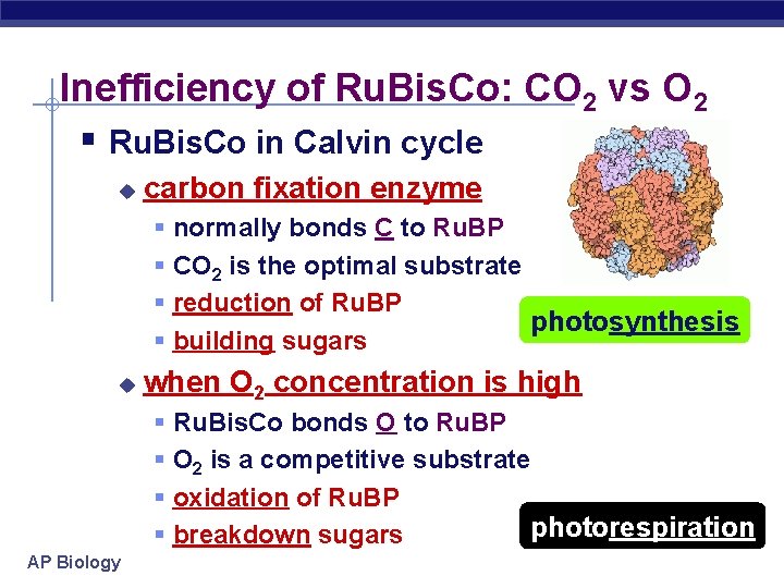 Inefficiency of Ru. Bis. Co: CO 2 vs O 2 § Ru. Bis. Co