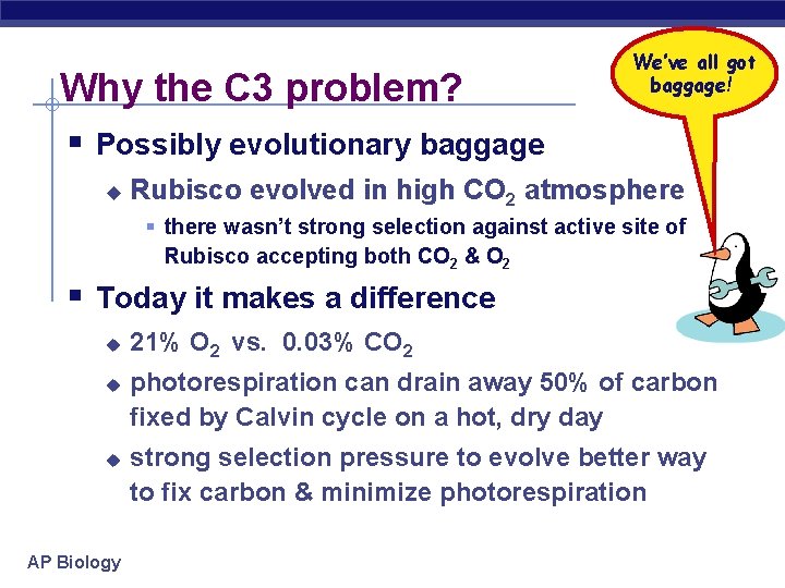 Why the C 3 problem? We’ve all got baggage! § Possibly evolutionary baggage u