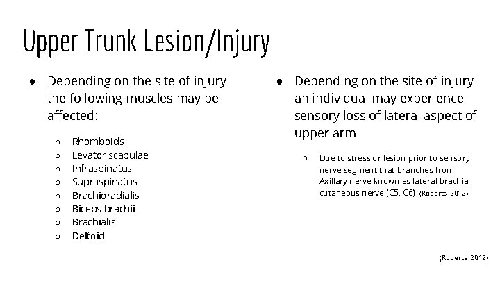 Upper Trunk Lesion/Injury ● Depending on the site of injury the following muscles may