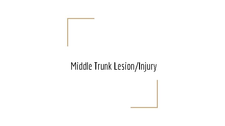 Middle Trunk Lesion/Injury 