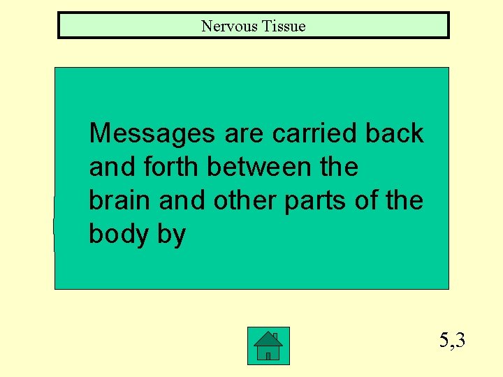 Nervous Tissue Messages are carried back and forth between the brain and other parts