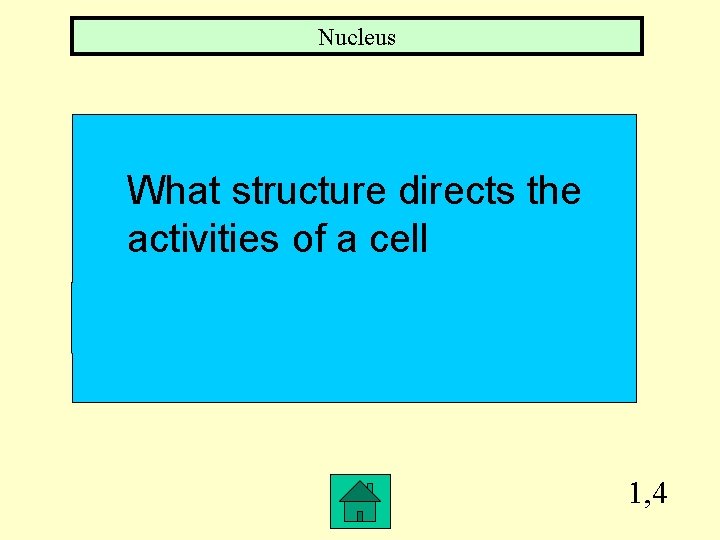 Nucleus What structure directs the activities of a cell 1, 4 