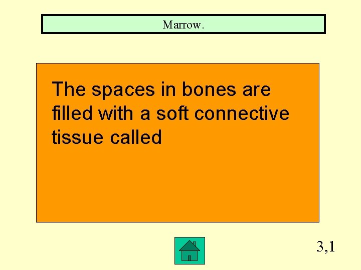 Marrow. The spaces in bones are filled with a soft connective tissue called 3,