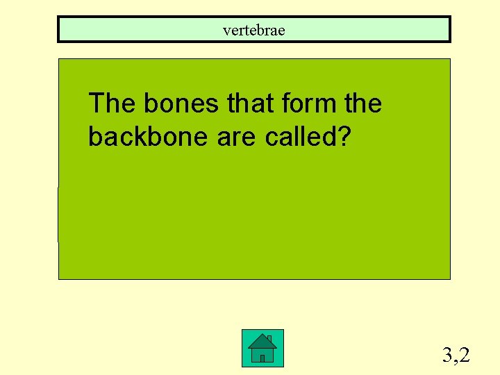 vertebrae The bones that form the backbone are called? 3, 2 