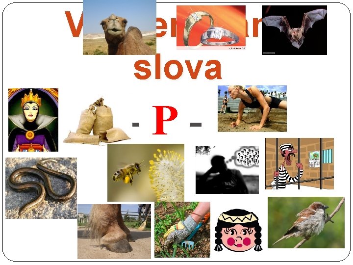 Vyjmenovaná slova -P- 