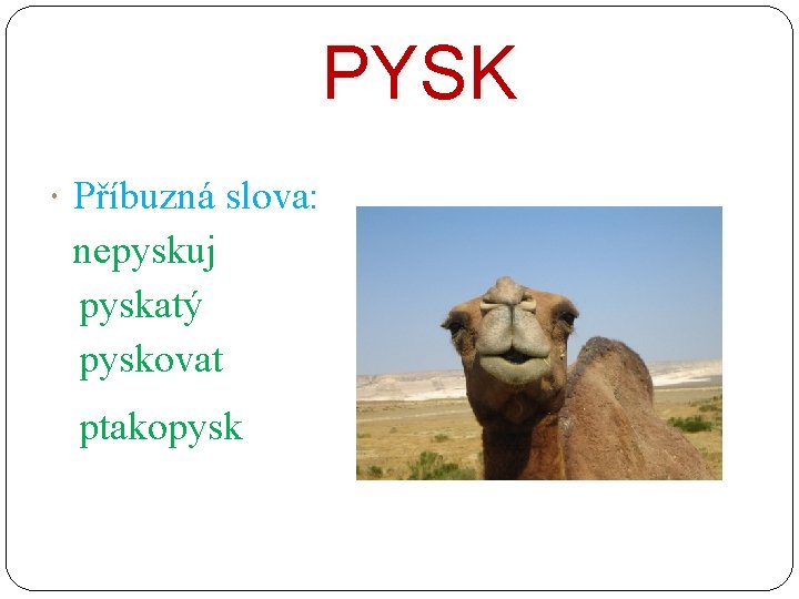 PYSK Příbuzná slova: nepyskuj pyskatý pyskovat ptakopysk 