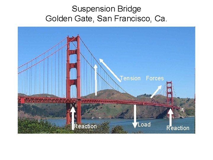 Suspension Bridge Golden Gate, San Francisco, Ca. Tension Forces Reaction Load Reaction 