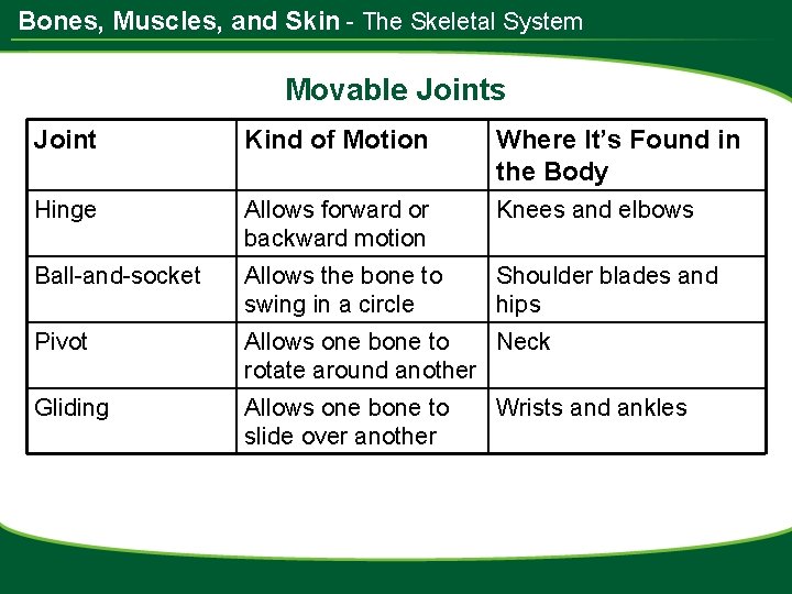 Bones, Muscles, and Skin - The Skeletal System Movable Joints Joint Kind of Motion