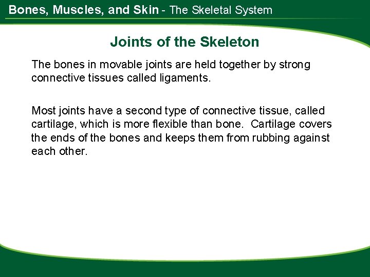 Bones, Muscles, and Skin - The Skeletal System Joints of the Skeleton The bones