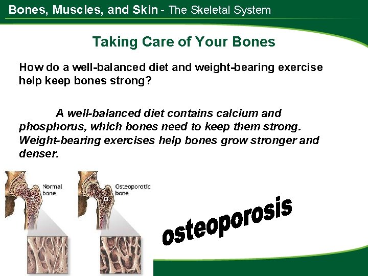 Bones, Muscles, and Skin - The Skeletal System Taking Care of Your Bones How