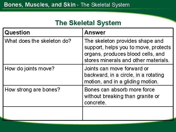 Bones, Muscles, and Skin - The Skeletal System Question Answer What does the skeleton