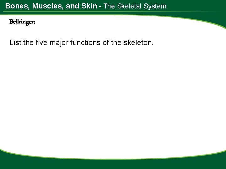 Bones, Muscles, and Skin - The Skeletal System Bellringer: List the five major functions
