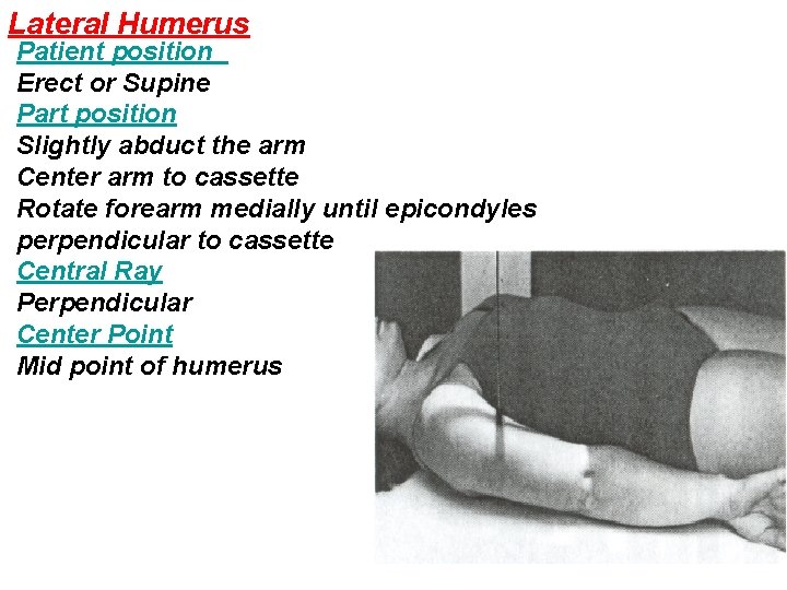 Lateral Humerus Patient position Erect or Supine Part position Slightly abduct the arm Center