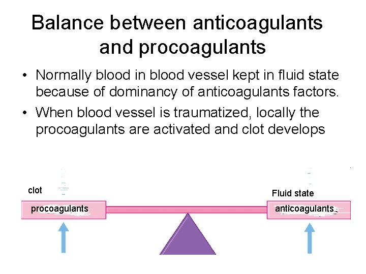 Balance between anticoagulants and procoagulants • Normally blood in blood vessel kept in fluid