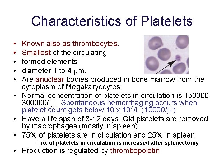 Characteristics of Platelets • • • Known also as thrombocytes. Smallest of the circulating