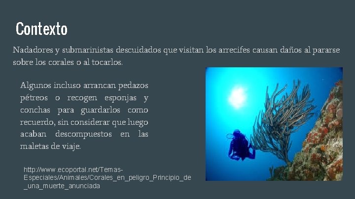 Contexto Nadadores y submarinistas descuidados que visitan los arrecifes causan daños al pararse sobre