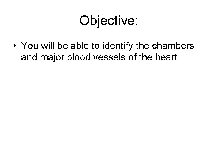Objective: • You will be able to identify the chambers and major blood vessels