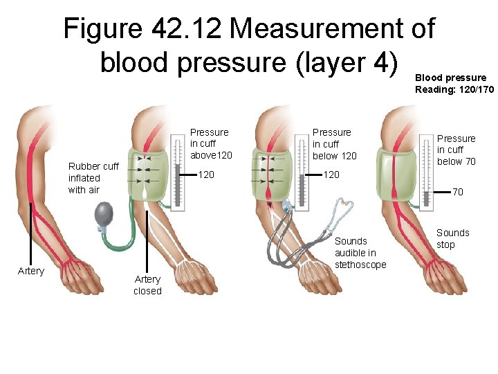 Figure 42. 12 Measurement of blood pressure (layer 4) Blood pressure Reading: 120/170 Pressure