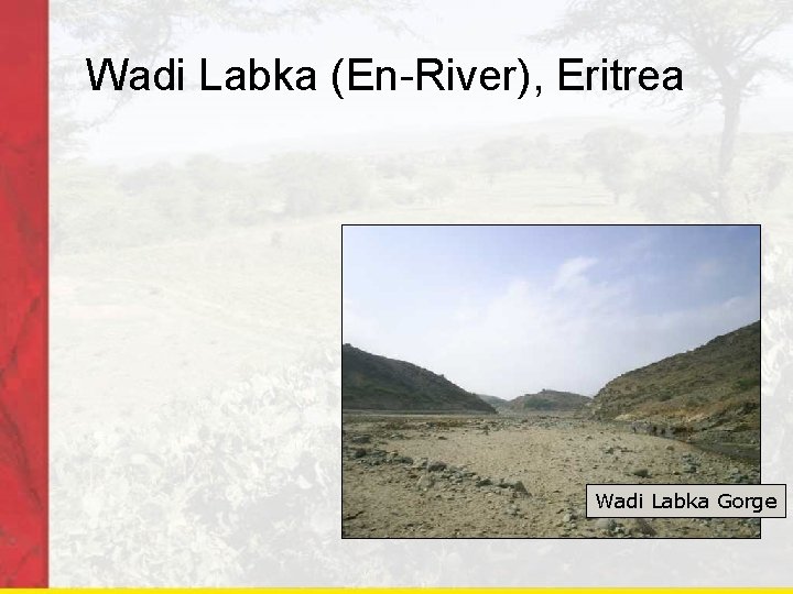 Wadi Labka (En-River), Eritrea Wadi Labka Gorge 