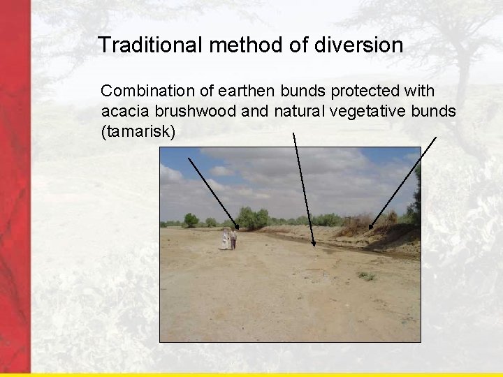 Traditional method of diversion Combination of earthen bunds protected with acacia brushwood and natural