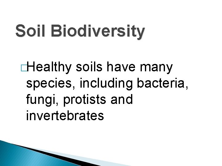 Soil Biodiversity �Healthy soils have many species, including bacteria, fungi, protists and invertebrates 