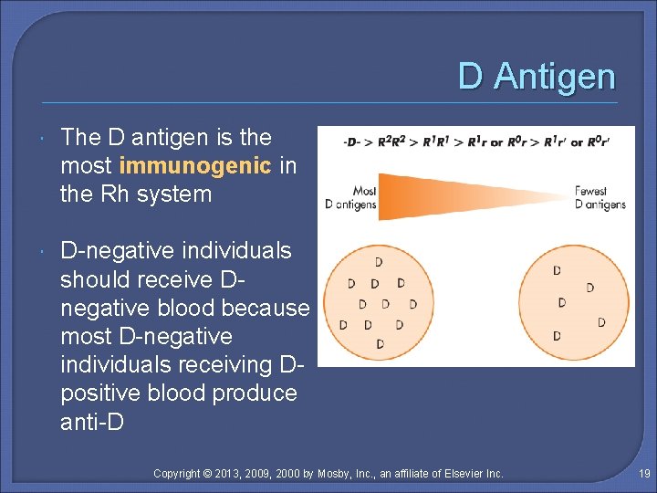 D Antigen The D antigen is the most immunogenic in the Rh system D-negative