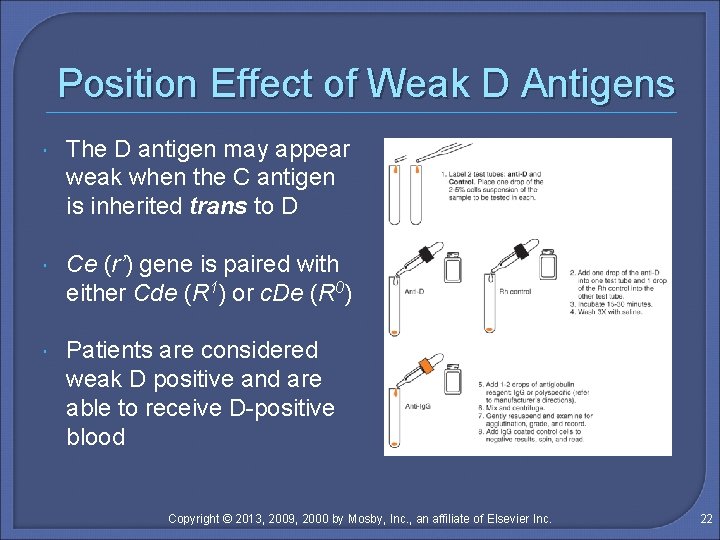 Position Effect of Weak D Antigens The D antigen may appear weak when the