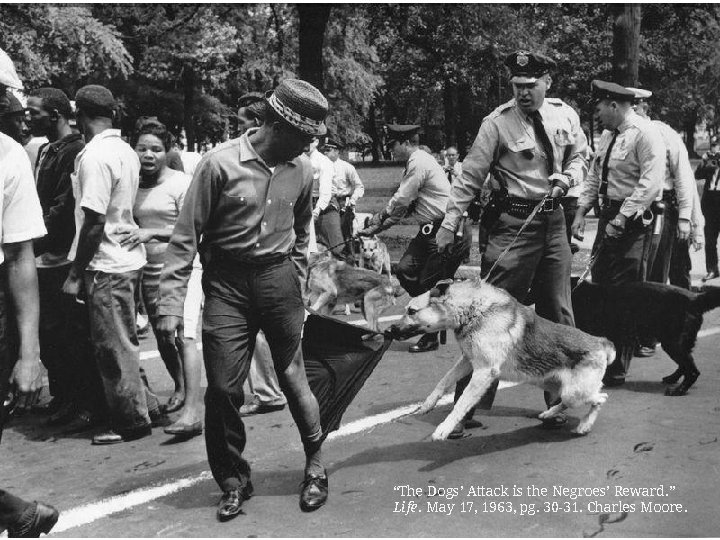 “The Dogs’ Attack is the Negroes’ Reward. ” Life. May 17, 1963, pg. 30