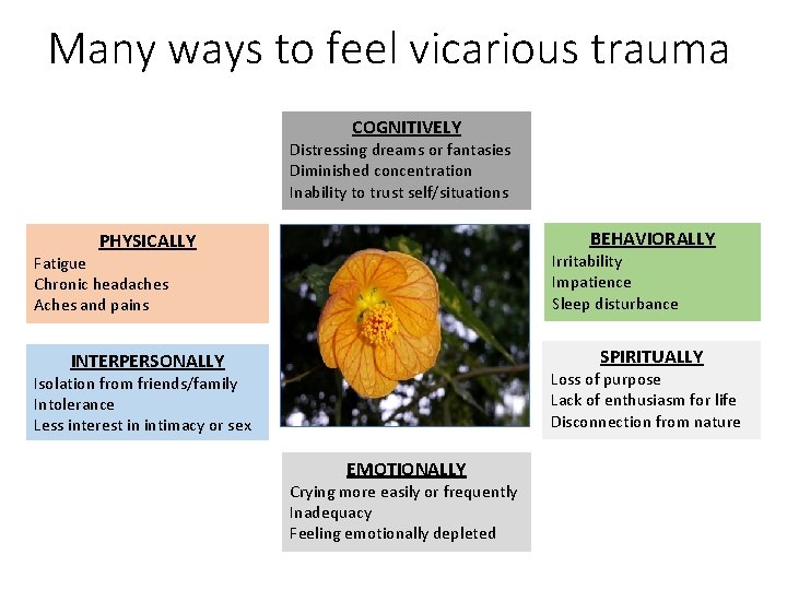 Many ways to feel vicarious trauma COGNITIVELY Distressing dreams or fantasies Diminished concentration Inability