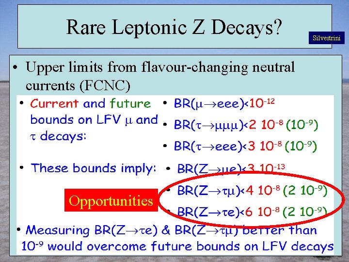 Rare Leptonic Z Decays? • Upper limits from flavour-changing neutral currents (FCNC) Opportunities Silvestrini