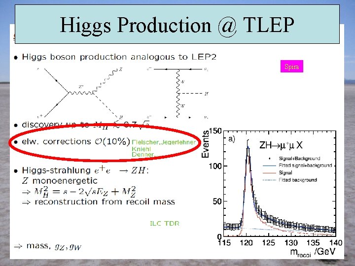 Higgs Production @ TLEP Spira 