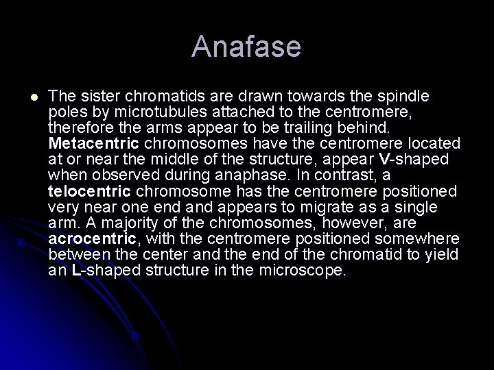 Anafase l The sister chromatids are drawn towards the spindle poles by microtubules attached