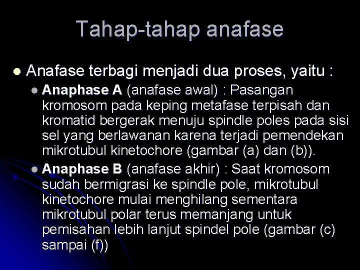 Tahap-tahap anafase l Anafase terbagi menjadi dua proses, yaitu : l Anaphase A (anafase