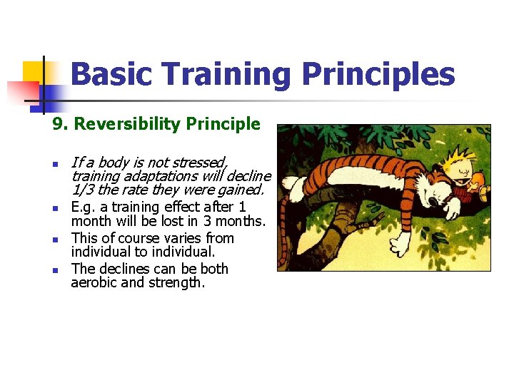 Basic Training Principles 9. Reversibility Principle n n If a body is not stressed,